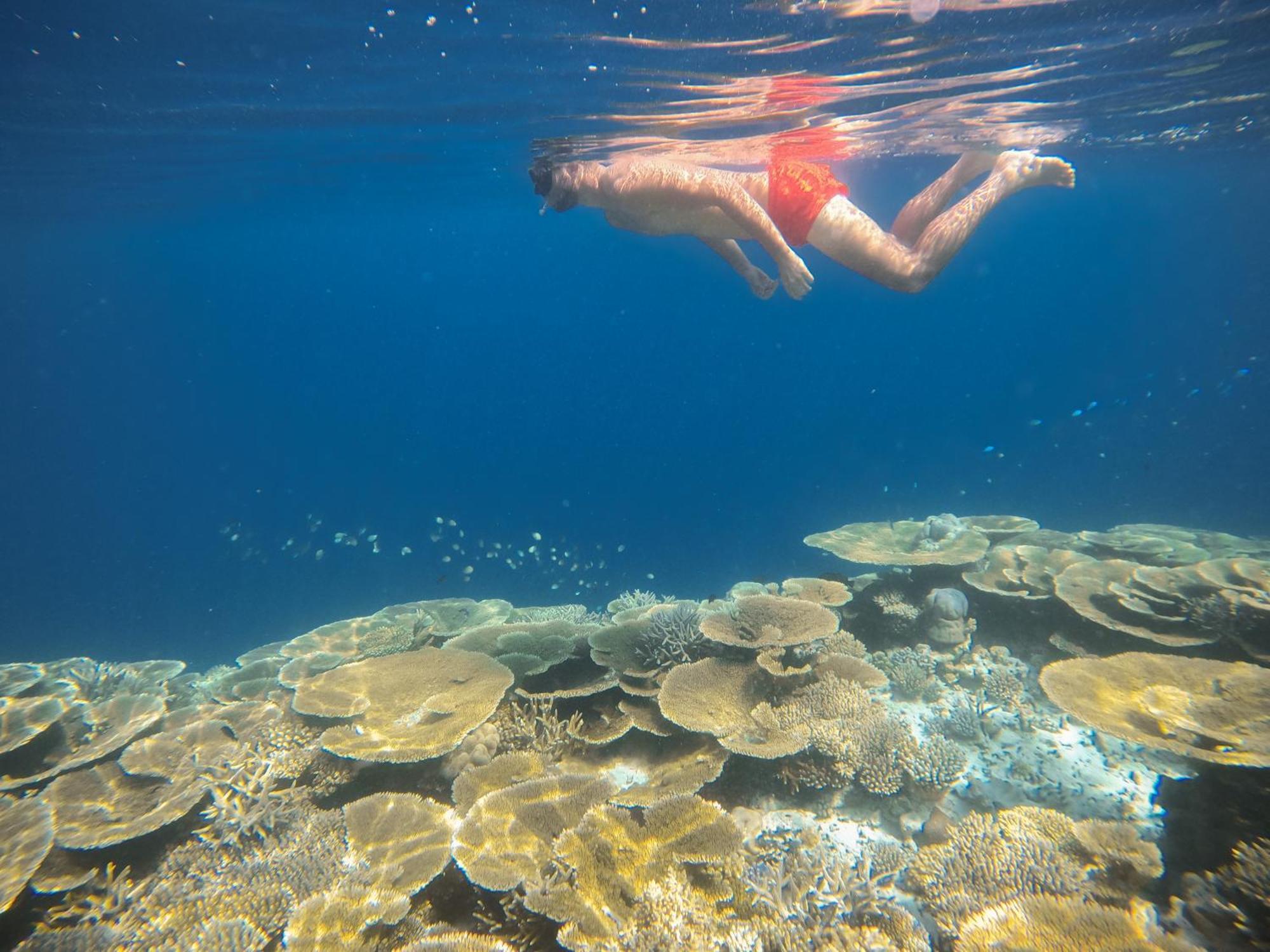 Ostrov Beach Ukulhas Dış mekan fotoğraf